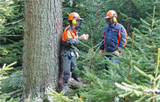 Lehrgang: Forstwirtschaftsmeisterlehrgang und Kurs für Forstschutzorgane