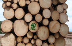 Seminar: Aktuelle Fragen zu Holzverkauf und Holzübernahme