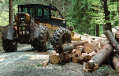 Lehrgang: Forsttechnik und Sicherheit