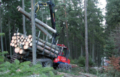 Lehrgang: Erstellen von einfachen Waldwirtschaftsplänen – Lehrgang Forstwirtschaftliches Betriebsmanagement
