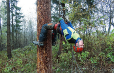 Rettung vom Baum - Unterweisung