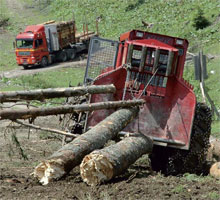 Verkehrsregelung an öffentlichen Straßen und Absicherung des Gefahrenbereiches bei Forstarbeiten